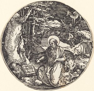 Den helige Hieronymus i botgörelsen av Hans Springinklee