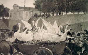 Vilda svanar, illustration av Hans Tegner (1853-1932) till saga av Hans Christian Andersen (1805-1875) av Hans Tegner