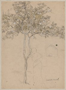 Studie av ett apelsinträd från trakten kring Sorrento. Kontur av en kvinnlig figur av Hans Thoma
