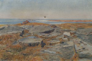 Studera av Concarneau