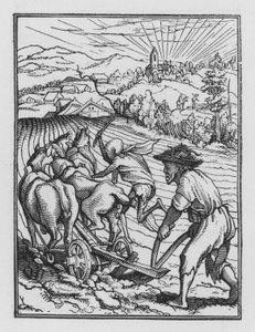 Holbeins Dödsdans: Husmannen