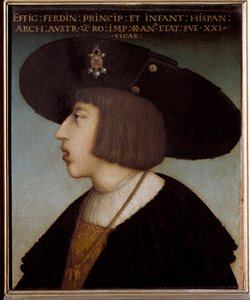 Porträtt av Ferdinand I, den helige romerske kejsaren och kungen av Böhmen och Ungern, 21 år (bär krage av det gyllene skinnet)