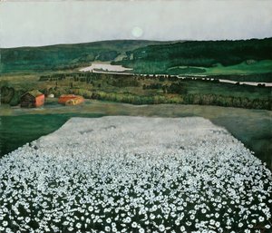 Blomsteräng i norr
