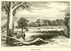 Gibraltar Rocks (gravyr) av Harden Sidney (after) Melville