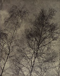 deras charm är skriven längs en flytande himmel, Robert Bridges (s/v foto)