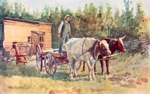 En ungkarls koja och hans team av oxar av Harold Copping