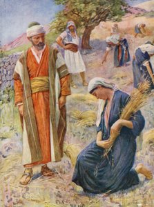 Gamla testamentet: Rut plockade på åkern (färglitografi) av Harold Copping