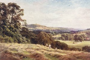A Hayfield, Wonersh (färglitografi)