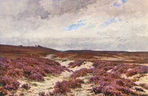 Frensham Common (färglitografi) av Harold Sutton Palmer