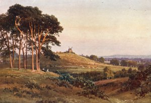 Reigate Heath, kväll (färglitografi) av Harold Sutton Palmer