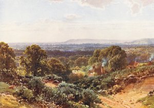 Sandhills, med utsikt mot Blackdown (färglitografi) av Harold Sutton Palmer