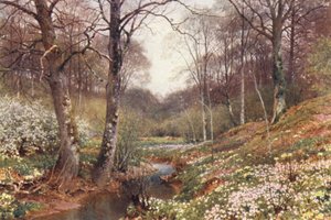 Vårblommor, nära Dorking (färglitografi)