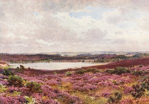 The Great Pond, Frensham (färglitografi) av Harold Sutton Palmer