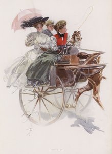 Ung amerikansk kvinna som åker i en spelning eller liknande en hästvagn i Irland (färg litho)