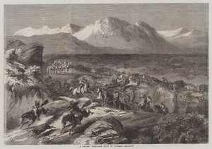 En nyligen genomförd vildsvinsjakt i Algeriet