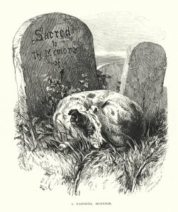 En trogen sörjande (gravyr) av Harrison William Weir