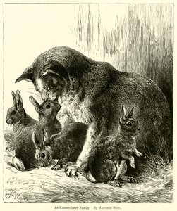 En extraordinär familj av Harrison William Weir