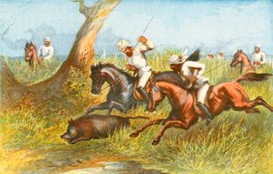 Vildsvin - "Äntligen besegrad av Harrison William Weir