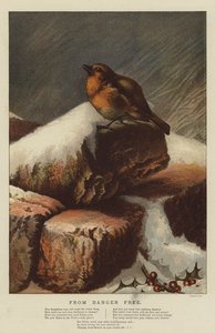 Från Danger Free (chromolitho) av Harrison William Weir