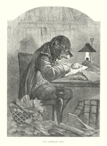 Roliga hundar: Den litterära hunden (gravyr) av Harrison William Weir