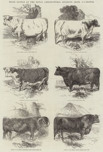 Prisboskap på Royal Agricultural Society
