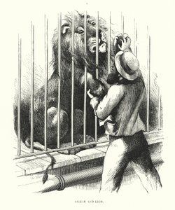 Sjöman och lejon (gravyr) av Harrison William Weir