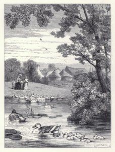 The Duck Pond (gravyr) av Harrison William Weir