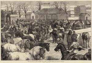 Matförsörjningen i Paris, Butchers