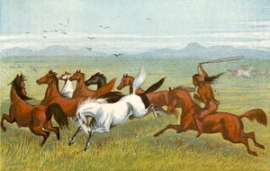The Horse - "The firs"