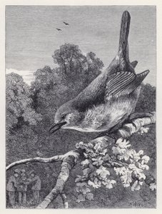 Robin tittar på pojkarna med boet (gravyr) av Harrison William Weir