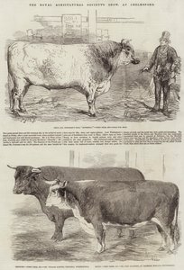 Royal Agricultural Society