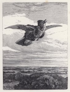 Lärkans sång (gravyr) av Harrison William Weir