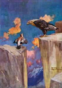 Jay and the Nightingale (färg litho)