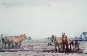 Ploghästar