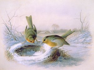 Last Years Nest, 1886 (wc) av Harry Bright