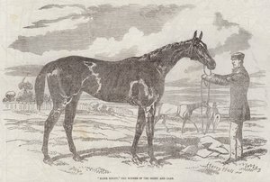 Blink Bonny, vinnaren av Derby och Oaks av Harry Hall