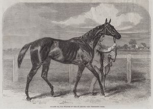 Caller Ou, vinnaren av St Leger av Harry Hall