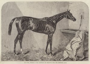 The Duke, vinnare av Goodwood och Brighton Cup av Harry Hall