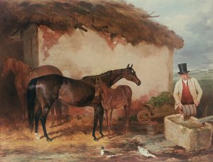 Stoet kanske med sitt föl, 1846 av Harry Hall