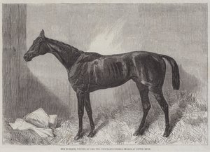 Markisen, vinnare av Two Thousand Guineas Stakes på Newmarket