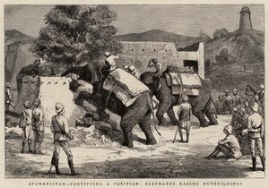 Afghanistan, befästning av en position, Elefanter som raserar uthus av Harry Hamilton Johnston