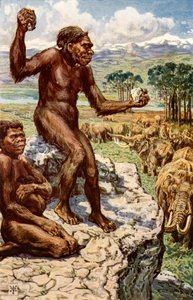Neandertalermänniskan