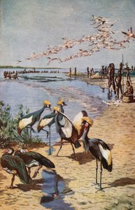 The Northern Shores of Lake Chad, sett av Denham 1822 av Harry Hamilton Johnston