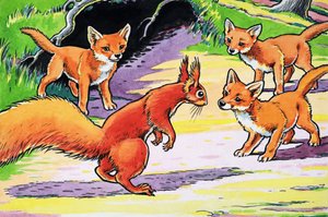 Laiti Squirrels Red Squirrels