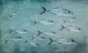 Liten fisk, stor krok av Harry Wentworth