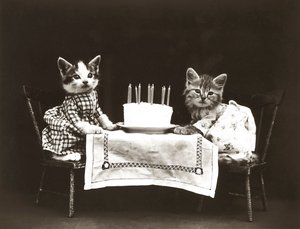 Serie med kattungar: Födelsedagskalas, ca 1914 (silvertryck)