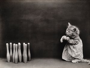 Serie med kattungar: Bowling, ca 1914 (silvertryck)