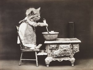 Serie med kattungar: Kock vid spisen, ca 1914 (silvertryck)