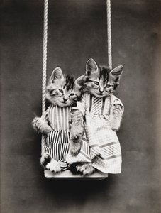 Serie med kattungar: På en gunga, ca 1914 (silvertryck)