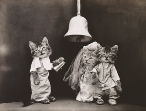 Serie med kattungar: Bröllop, ca 1914 (silvertryck)